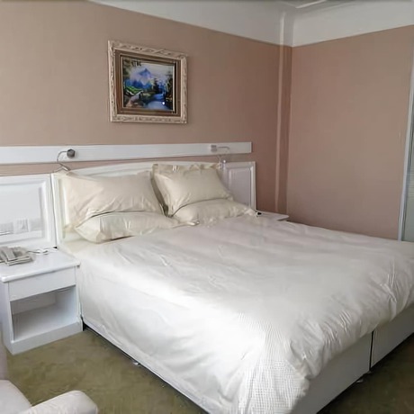 Imagen de la habitación del Hotel Hua Cheng Hotel. Foto 13