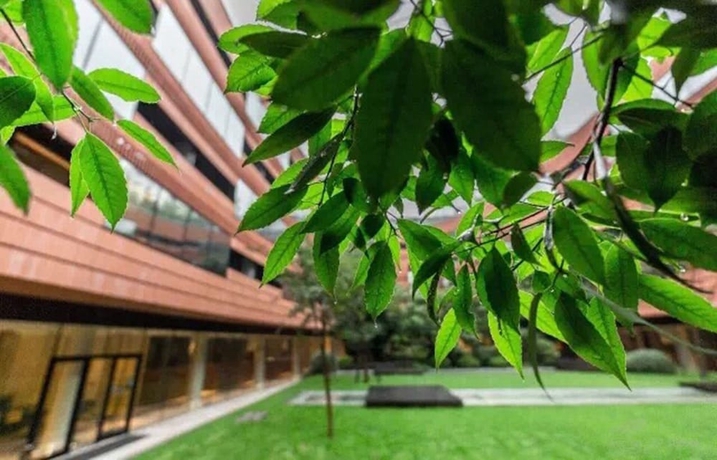 Imagen de la habitación del Hotel Hualuxe Shanghai Twelve At Hengshan, An Ihg. Foto 18