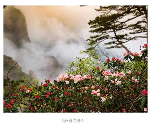 Imagen general del Hotel Huangshan Paiyunlou. Foto 4