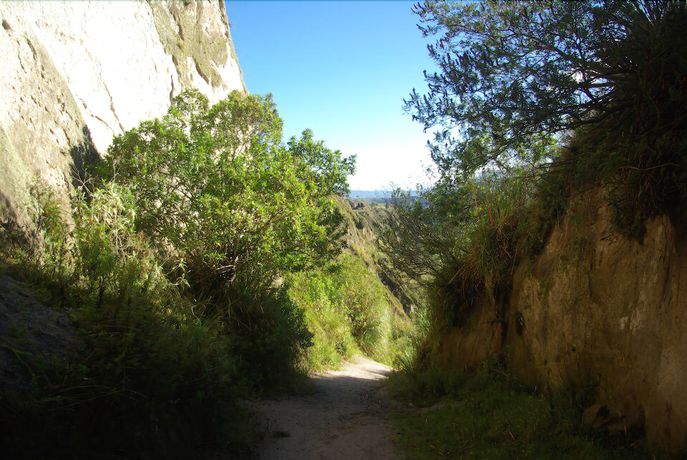 Imagen general del Hotel Huaxteca Inn. Foto 4