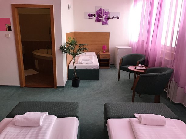 Imagen de la habitación del Hotel Hubert Nové Zámky. Foto 8