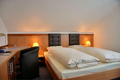 Imagen general del Hotel Hubertus Gernsheim Rhein. Foto 3