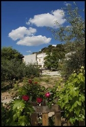 Imagen general del Hotel Huerta Avililla. Foto 3