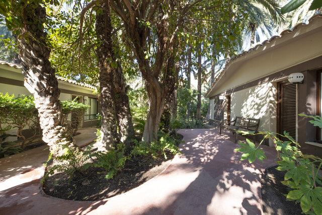 Imagen de los exteriores del Hotel Huerto Del Cura. Foto 8