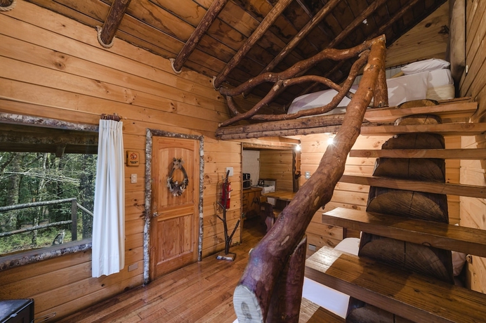 Imagen de la habitación del Hotel Huilo Huilo Cabanas del Bosque. Foto 3