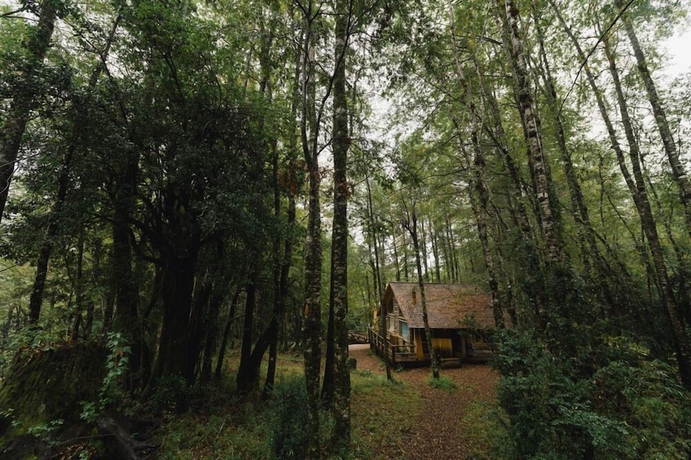 Imagen de los exteriores del Hotel Huilo Huilo Cabanas del Bosque. Foto 18