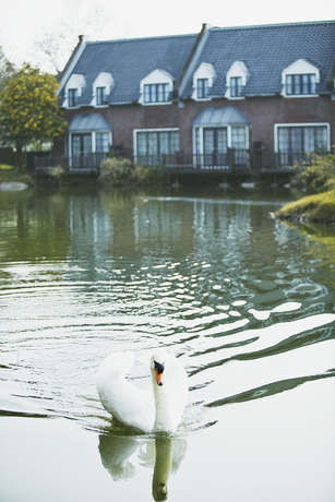 Imagen de los exteriores del Hotel Huis Ten Bosch Forest Villa. Foto 12