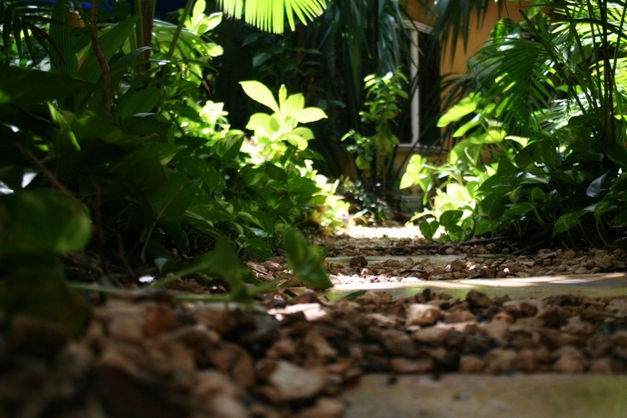 Imagen de los interiores del Hotel Hulku. Foto 13