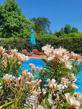 Imagen general del Hotel Hullám Villa. Foto 18