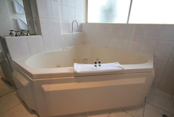 Imagen de la habitación del Hotel Hume Villa Motor Inn. Foto 18