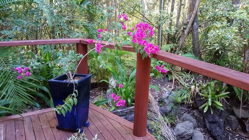 Imagen general del Hotel Hunchy Hideaway. Foto 10