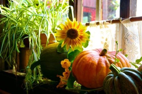 Imagen general del Hotel Hundred House. Foto 8