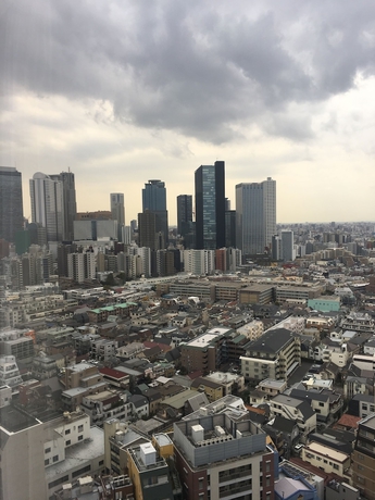 Imagen de la habitación del Hotel Hundred Stay Tokyo Shinjuku. Foto 7