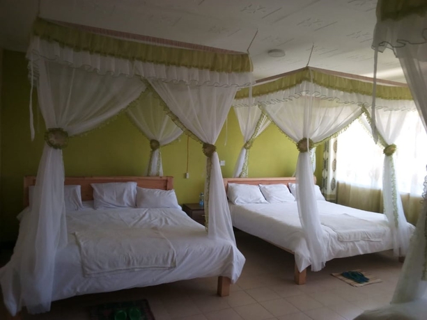 Imagen de la habitación del Hotel Hungry and T Hippo. Foto 12