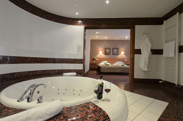 Imagen de la habitación del Hotel Hunguest Pelion. Foto 13