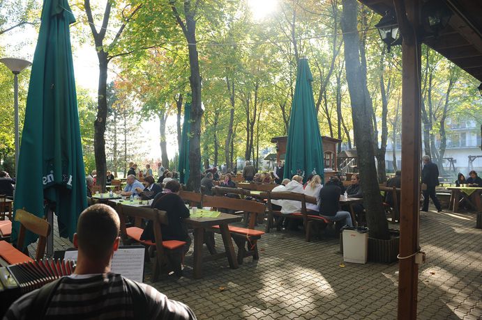 Imagen de la piscina del Hotel Hunguest Repce. Foto 13