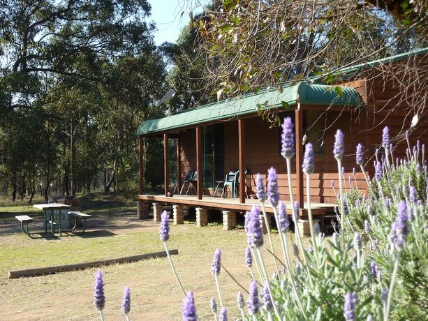 Imagen general del Hotel Hunter Hideaway Cottages. Foto 2