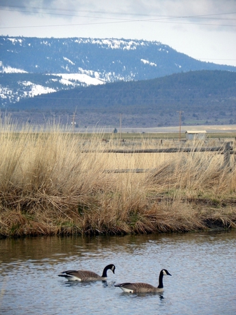 Imagen de los exteriores del Hotel Hunters Hot Springs Resort. Foto 10
