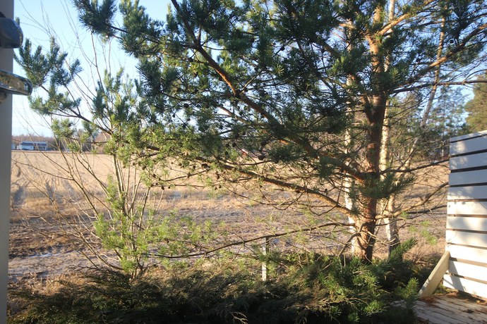 Imagen de los exteriores del Hotel Huoneistohotelli J&auml;&auml;sk&auml;n Loma. Foto 15