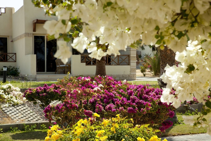 Imagen de los exteriores del Hotel Hurghada Coral Beach. Foto 7