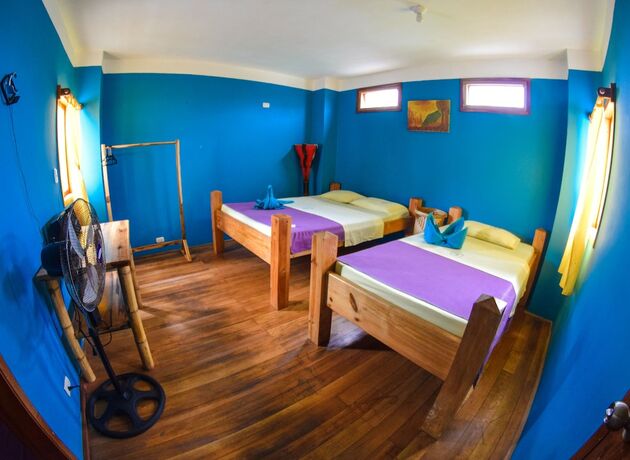 Imagen general del Hotel Hurvinek. Foto 4