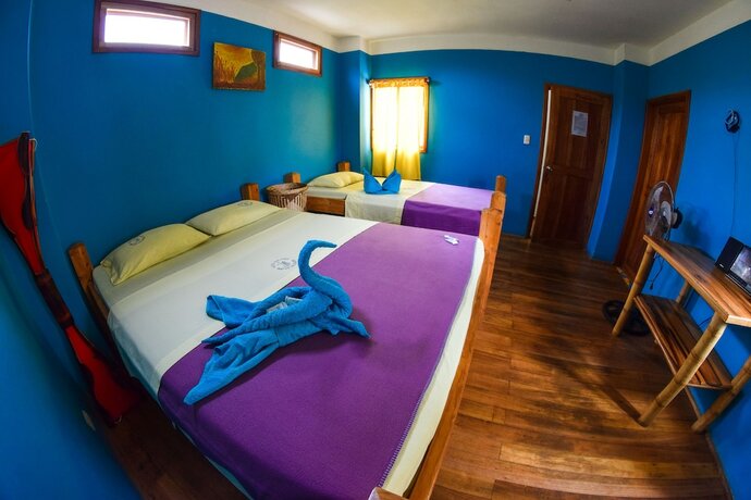 Imagen general del Hotel Hurvinek. Foto 7