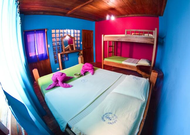 Imagen general del Hotel Hurvinek. Foto 8