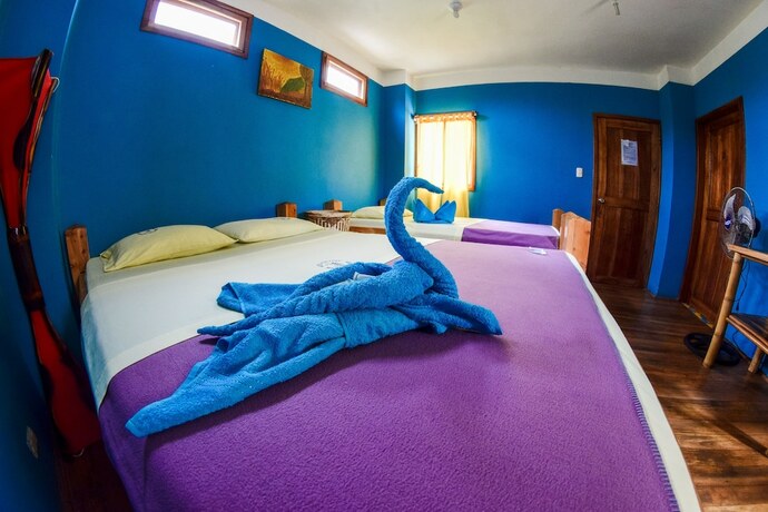 Imagen general del Hotel Hurvinek. Foto 9