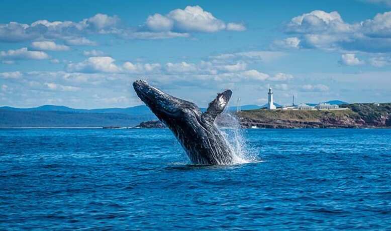 Imagen general del Hotel Huskisson. Foto 9