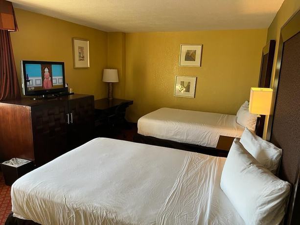 Imagen de la habitación del Hotel Hutchi Bell. Foto 4