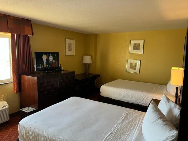 Imagen de la habitación del Hotel Hutchi Bell. Foto 5