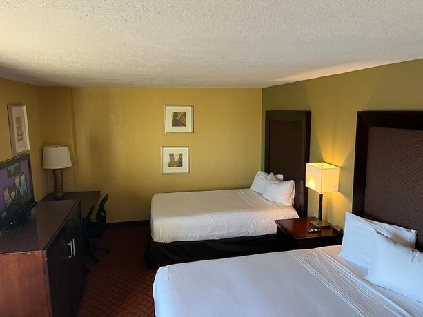 Imagen de la habitación del Hotel Hutchi Bell. Foto 9