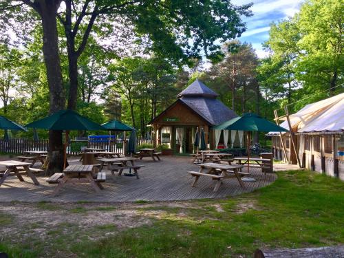 Imagen general del Hotel Huttopia Lac De Sille. Foto 4