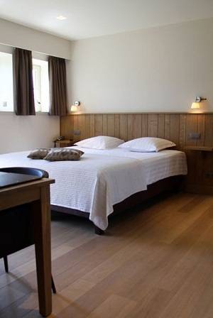 Imagen de la habitación del Hotel Huyshoeve. Foto 9