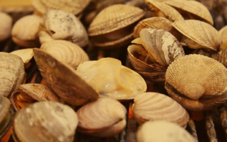 Imagen general del Hotel Hwaseong Beach Town Pension. Foto 2