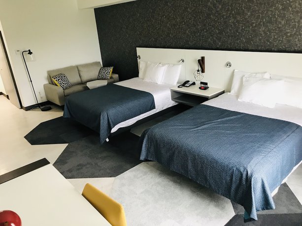 Imagen de la habitación del Hotel Hy-Lo, Ascend Collection. Foto 14