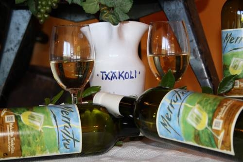 Imagen general del Hotel Hyap Rural Merrutxu. Foto 4