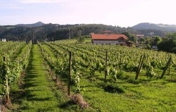 Imagen general del Hotel Hyap Rural Merrutxu. Foto 5