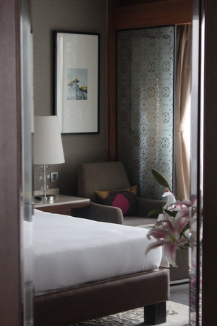 Imagen de la habitación del Hotel Hyatt Ahmedabad. Foto 8