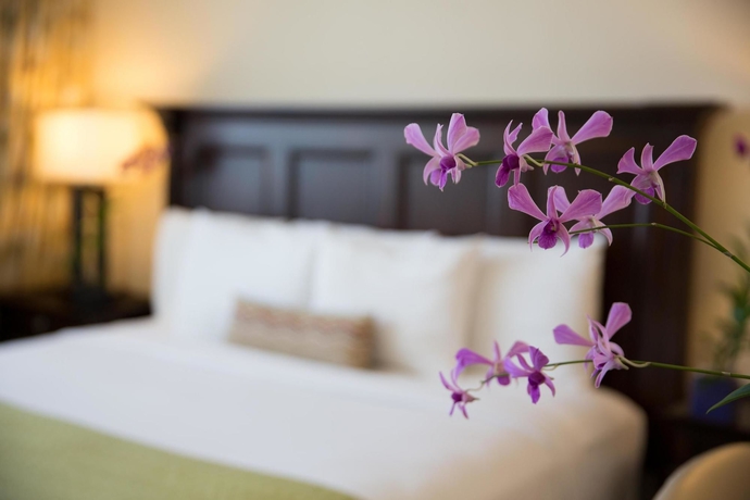 Imagen de la habitación del Hotel Hyatt Centric San Juan - Isla Verde. Foto 7