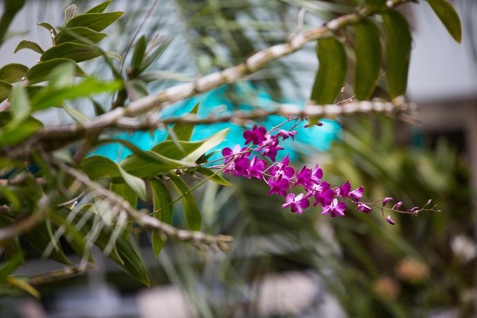 Imagen de los exteriores del Hotel Hyatt Centric San Juan - Isla Verde. Foto 14