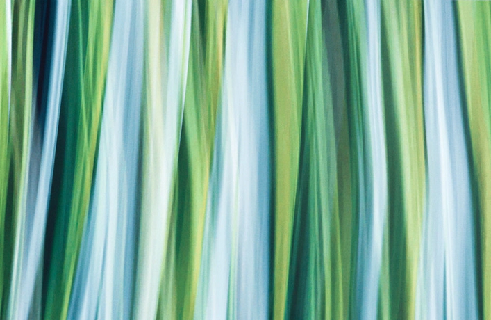 Imagen de la habitación del Hotel Hyatt Centric South Beach Miami. Foto 6