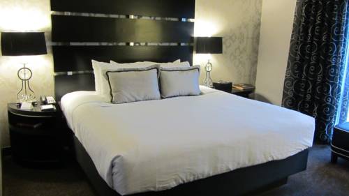 Imagen de la habitación del Hotel Hyatt Centric The Woodlands. Foto 4