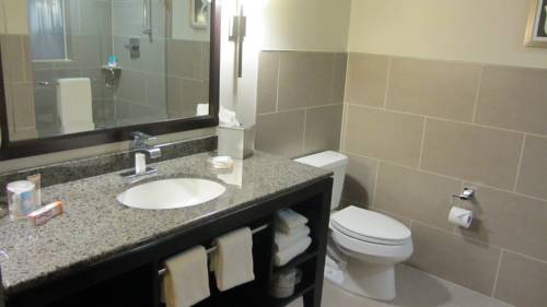 Imagen de la habitación del Hotel Hyatt Centric The Woodlands. Foto 5