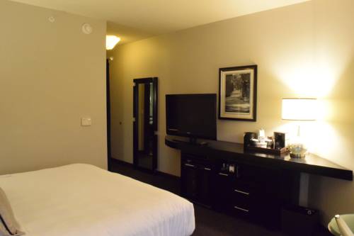 Imagen de la habitación del Hotel Hyatt Centric The Woodlands. Foto 9