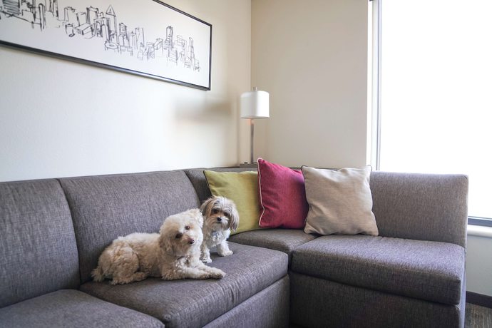 Imagen de la habitación del Hotel Hyatt House Denver Downtown. Foto 12