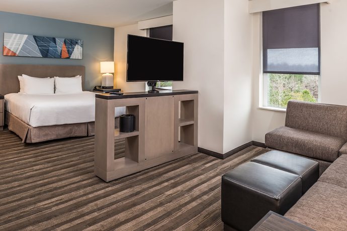 Imagen de la habitación del Hotel Hyatt House Raleigh / Rdu / Brier Creek. Foto 15