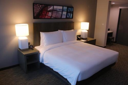 Imagen de la habitación del Hotel Hyatt House Shenzhen Airport. Foto 11