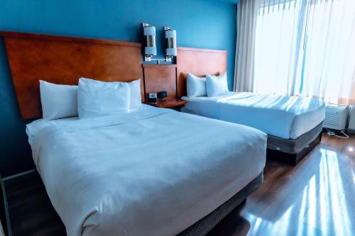 Imagen de la habitación del Hotel Hyatt Place Atlanta Airport-north. Foto 9