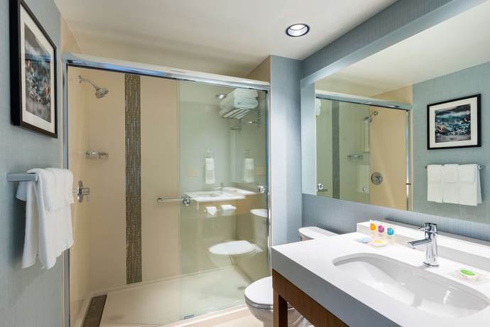 Imagen de la habitación del Hotel Hyatt Place Atlanta Centennial Park. Foto 12